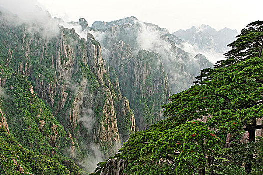 催春水催迷水无色无味C1B8D97C5-18975